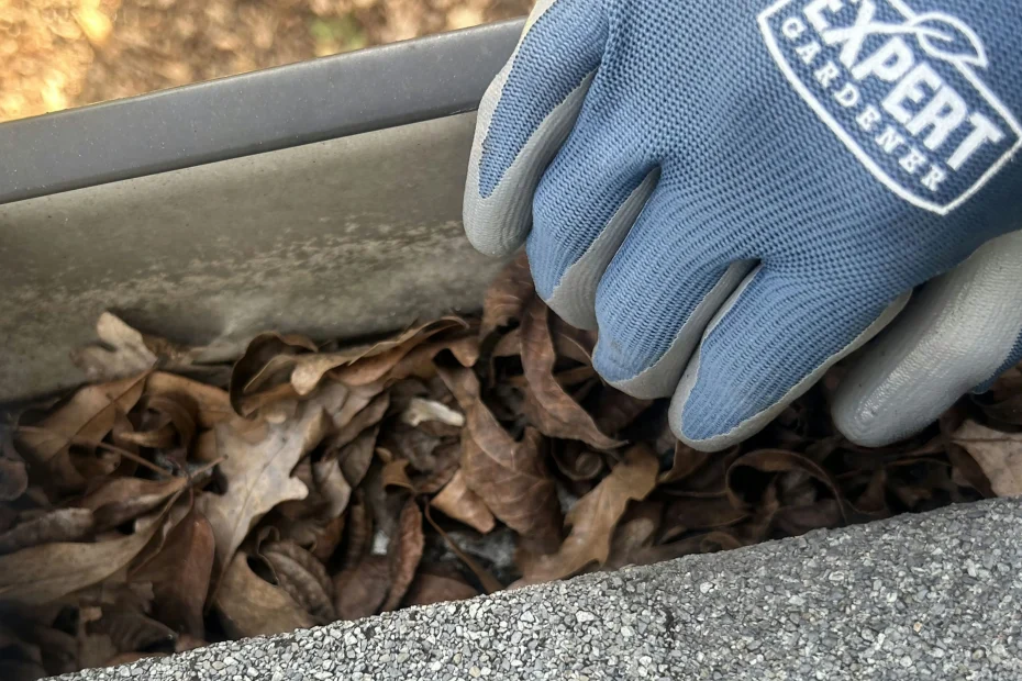 Byron Gutter Cleaning